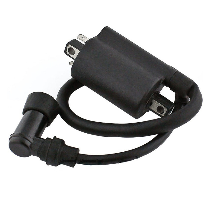 Bobines d'allumage pour Yamaha XV 250 Route 66 v-star Virago de 1988 à 2011