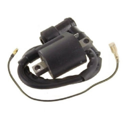 Bobines d'allumage pour Yamaha TT 250  de 1999 à 2000